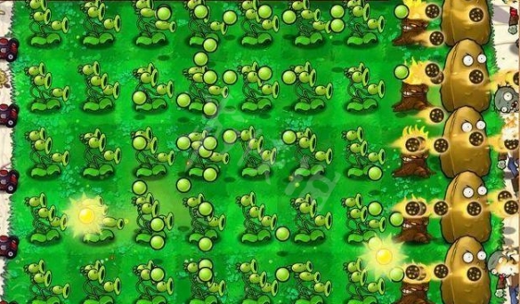植物大僵尸游戏_僵尸植物游戏大全破解版_僵尸版植物