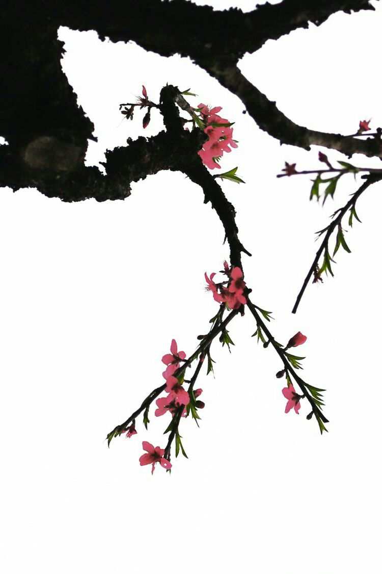 大国游戏井底望天pdf_井底望天最新文章_井底望天 大国游戏pdf