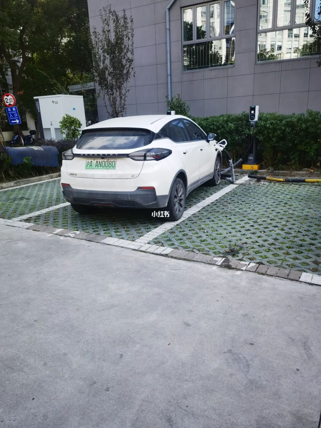 1.3排量汽车_排量汽车油耗多少_排量汽车购置税怎么算的