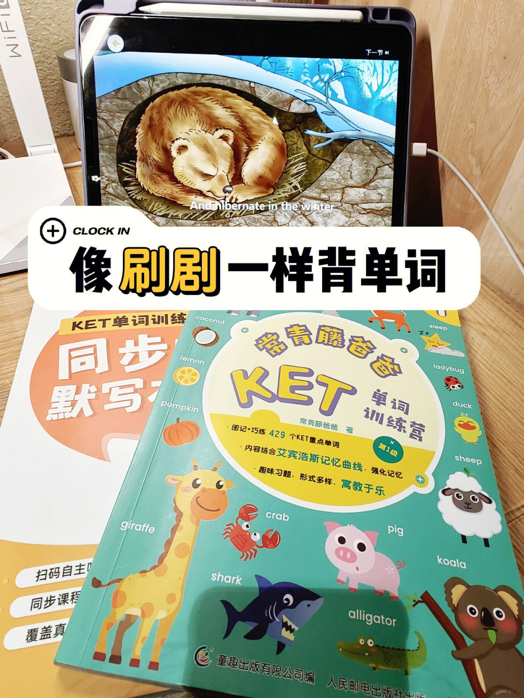 电子辞典游戏APK：超级有趣手机应用！