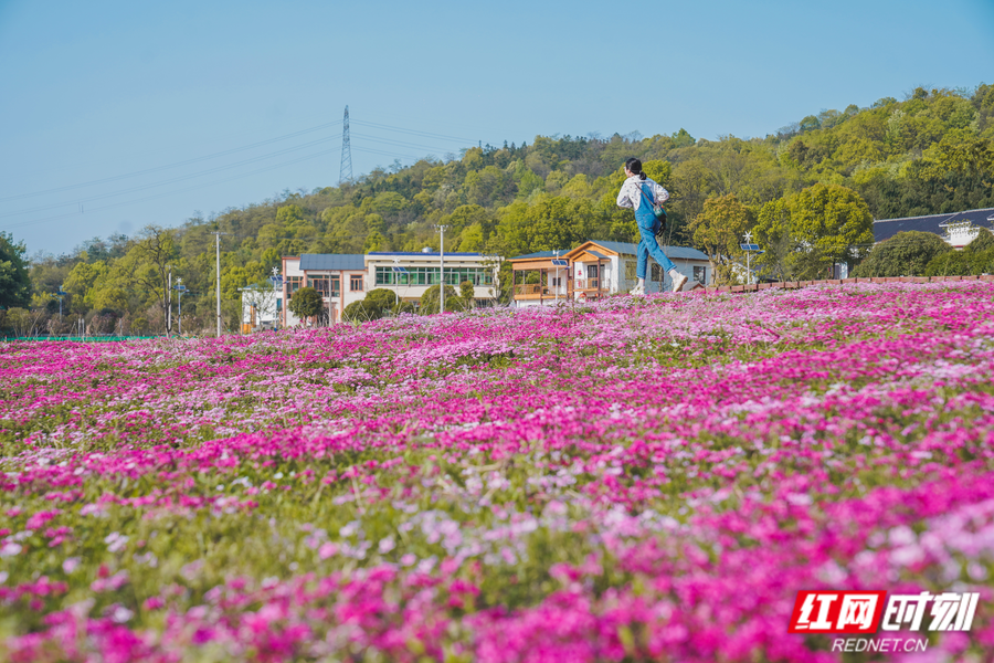 温泉恋爱物语_恋花温泉游戏_恋花温泉下拉试