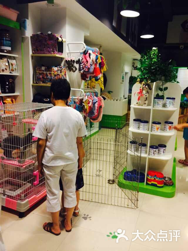 上海宠物最全的宠物店_上海宠物店利润_上海宠物店