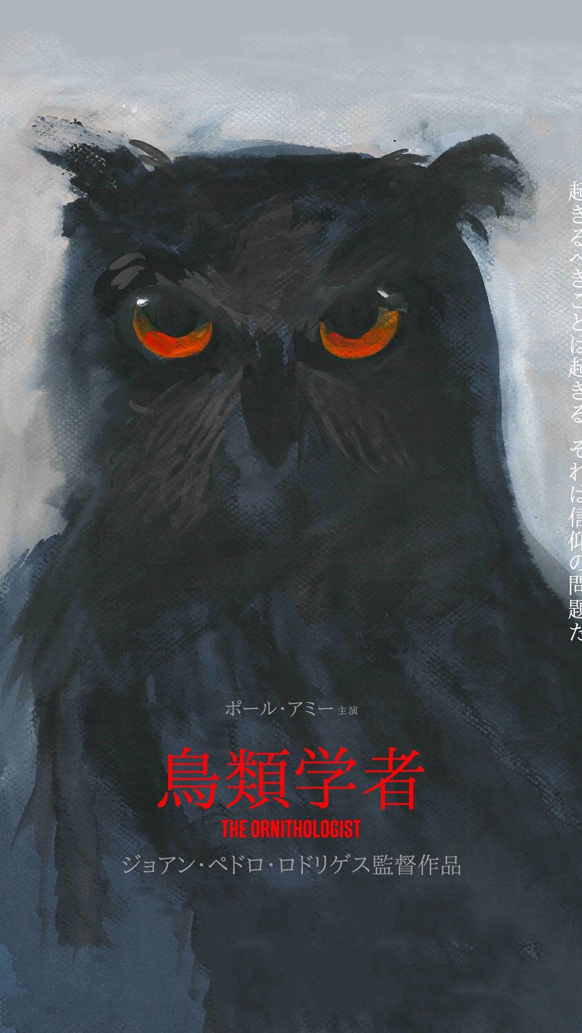 饥饿游戏嘲笑鸟影评_饥饿游戏3嘲笑鸟影评_饥饿游戏3嘲笑鸟下影评