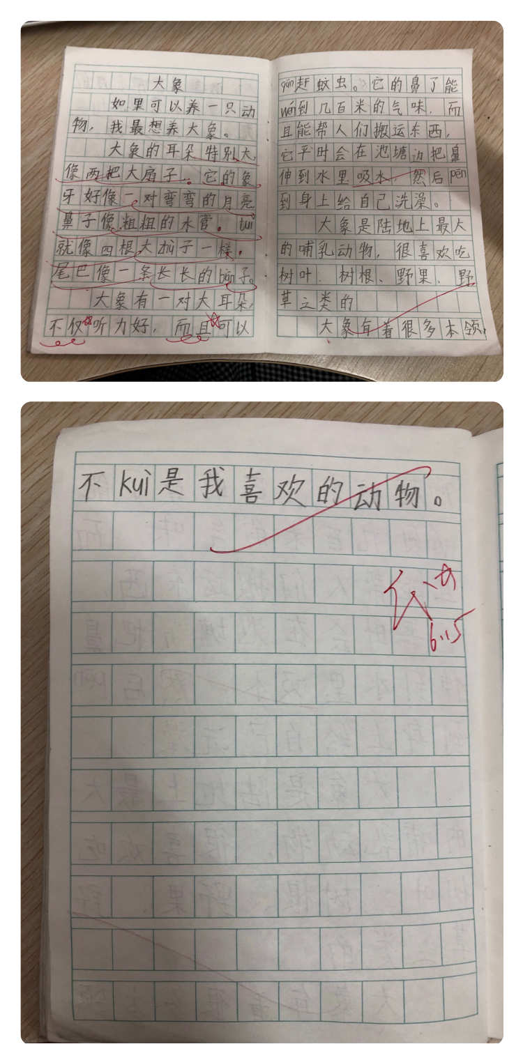 体育课热身游戏_热身游戏室内_热身游戏