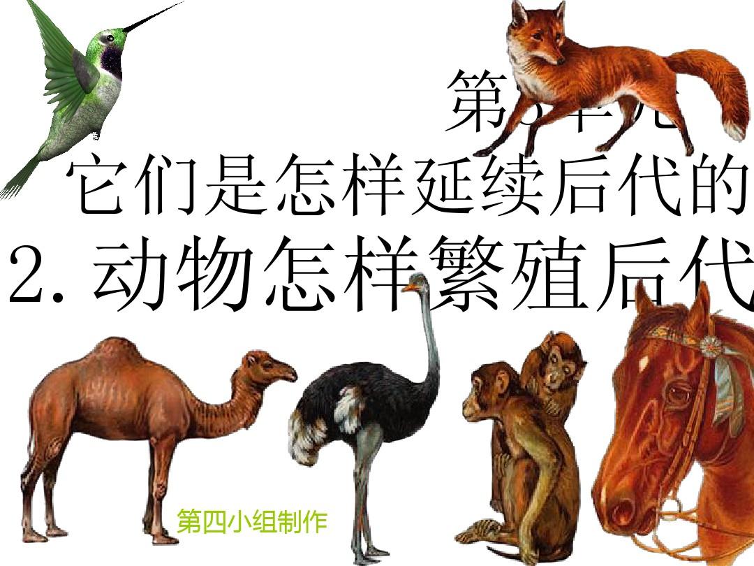 热身游戏_体育课热身游戏_热身游戏室内