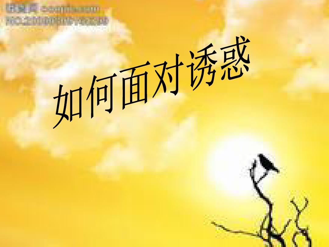 夺爱游戏大结局下_总裁的夺爱游戏txt_夺爱游戏