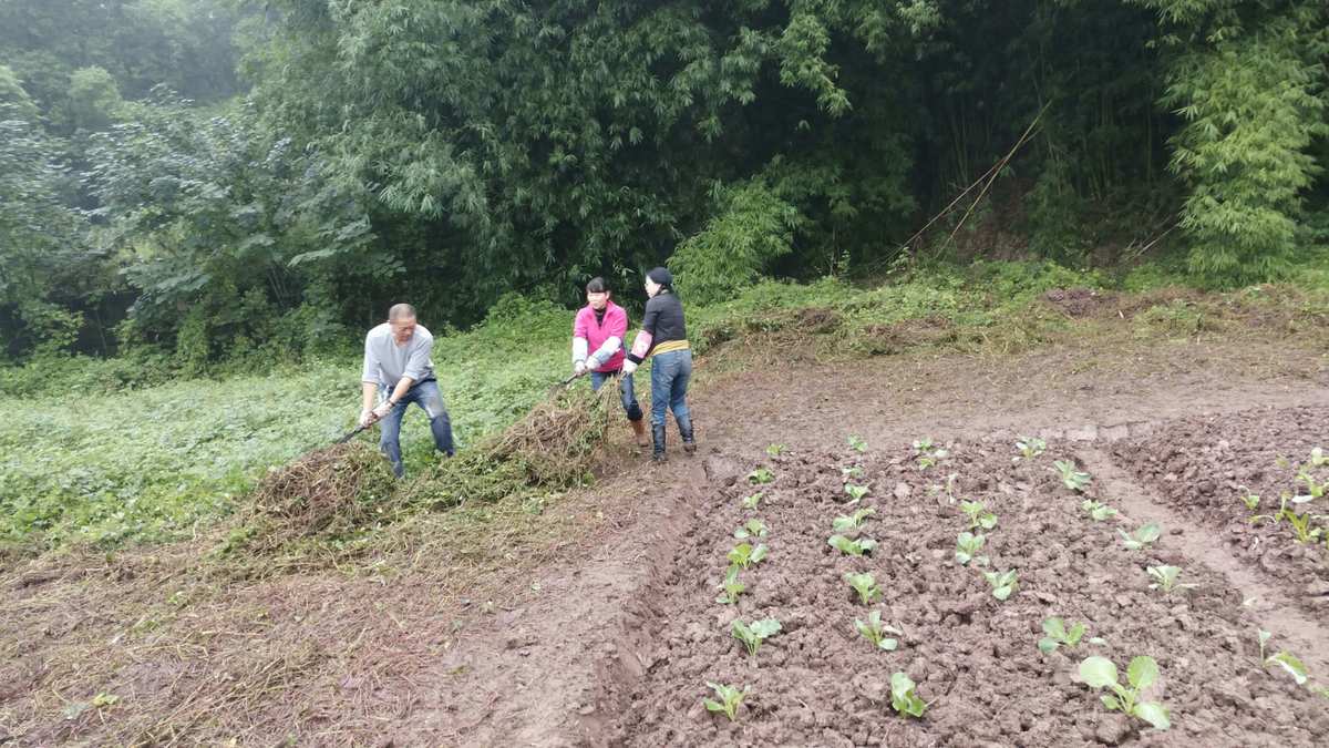 联网农场类手游_不需要联网的农场游戏_网络农场游戏