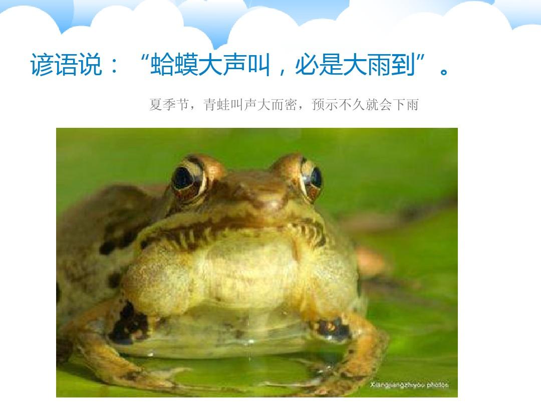 9月1日河北燕郊暴雨_燕郊大暴雨_2020燕郊暴雨新闻