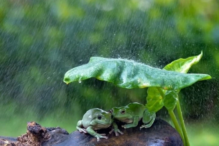 9月1日河北燕郊暴雨_燕郊大暴雨_2020燕郊暴雨新闻
