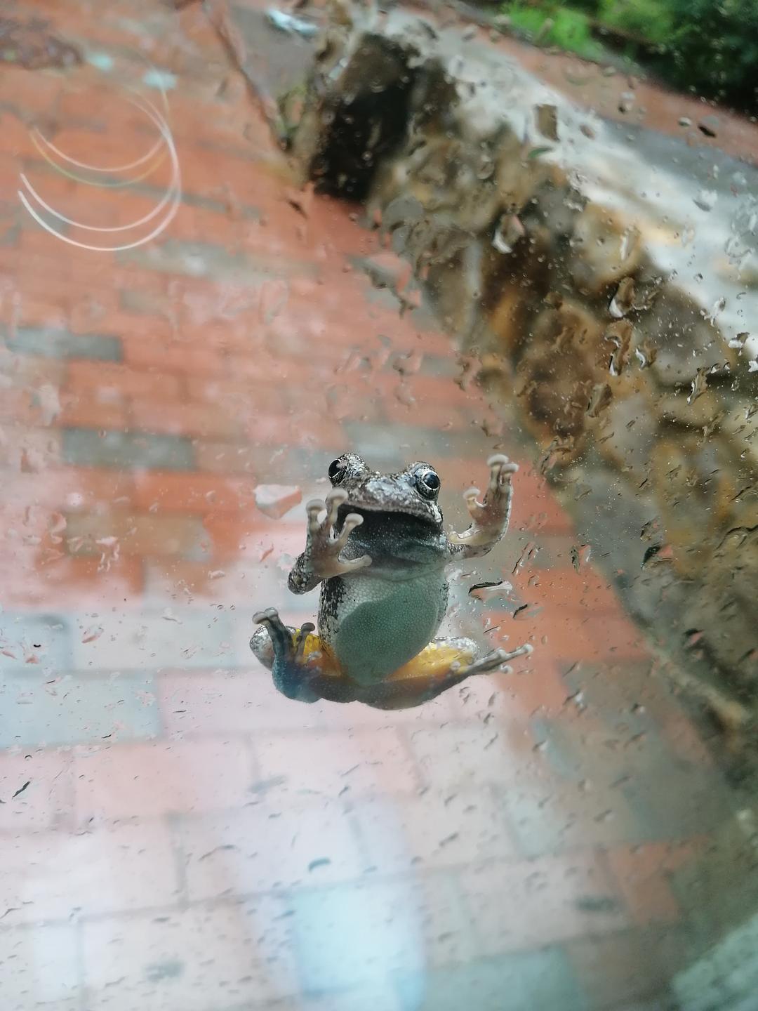 9月1日河北燕郊暴雨_燕郊大暴雨_2020燕郊暴雨新闻