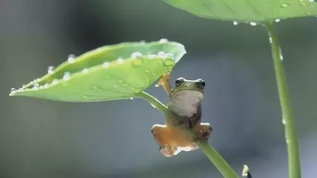 2020燕郊暴雨新闻_燕郊大暴雨_9月1日河北燕郊暴雨