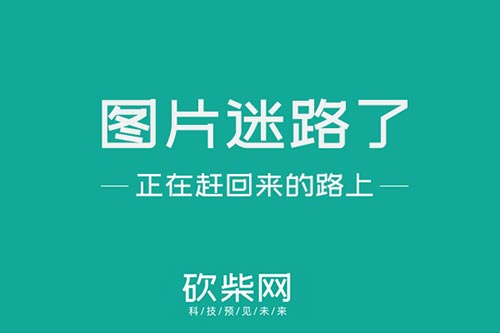 真假难辨游戏怎么玩_难辨真假游戏素材_真假难辨小游戏
