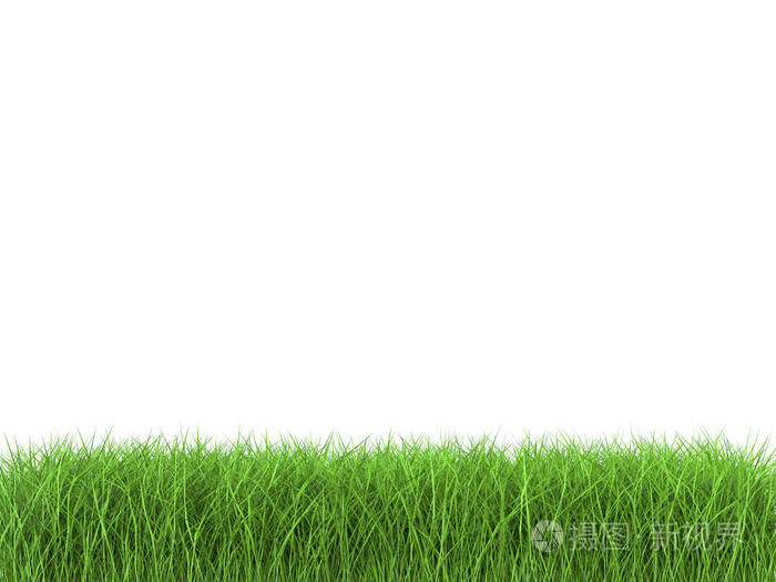 whitehead研究所_whitehead_whitehead翻译