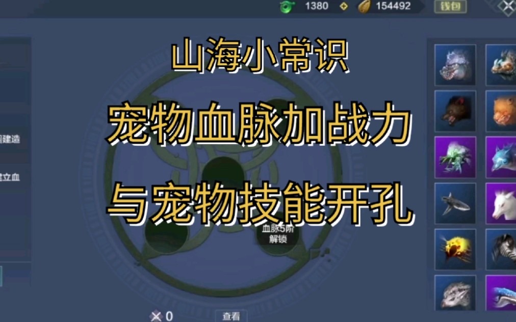 斗战神武器经文孔_斗战神宠物开孔_斗战神宝宝开孔