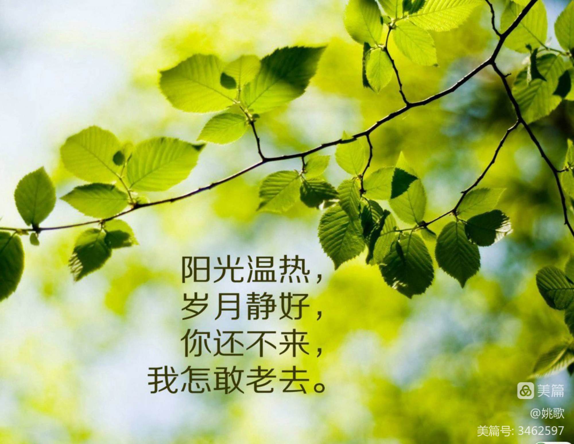 老友聚，曾经青春的地方