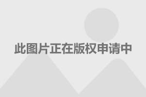 赛车总动员3_赛车总动员2_赛车总动员1国语版免费观看