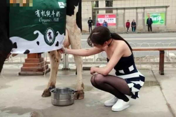 美女街头现场挤奶售卖_美女挤奶门视频教程_美女现场挤奶