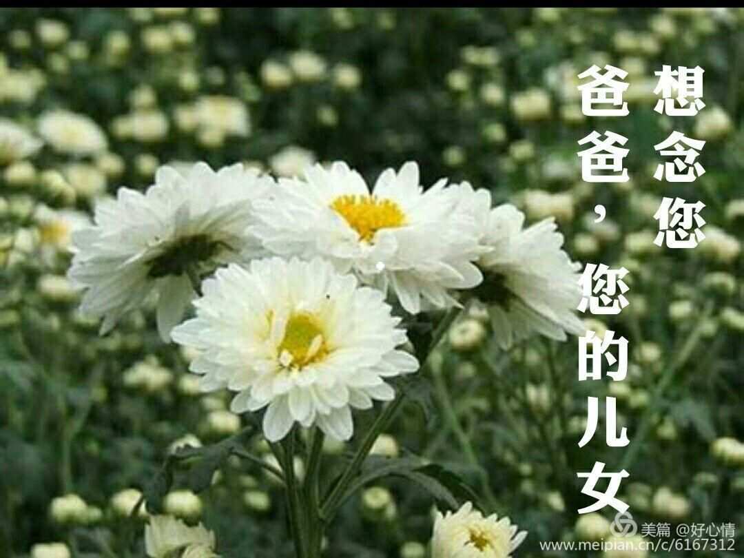 求古代bl小说受是皇帝_一本都市小说猪脚的父亲是皇帝_泡妞皇帝在都市完结本