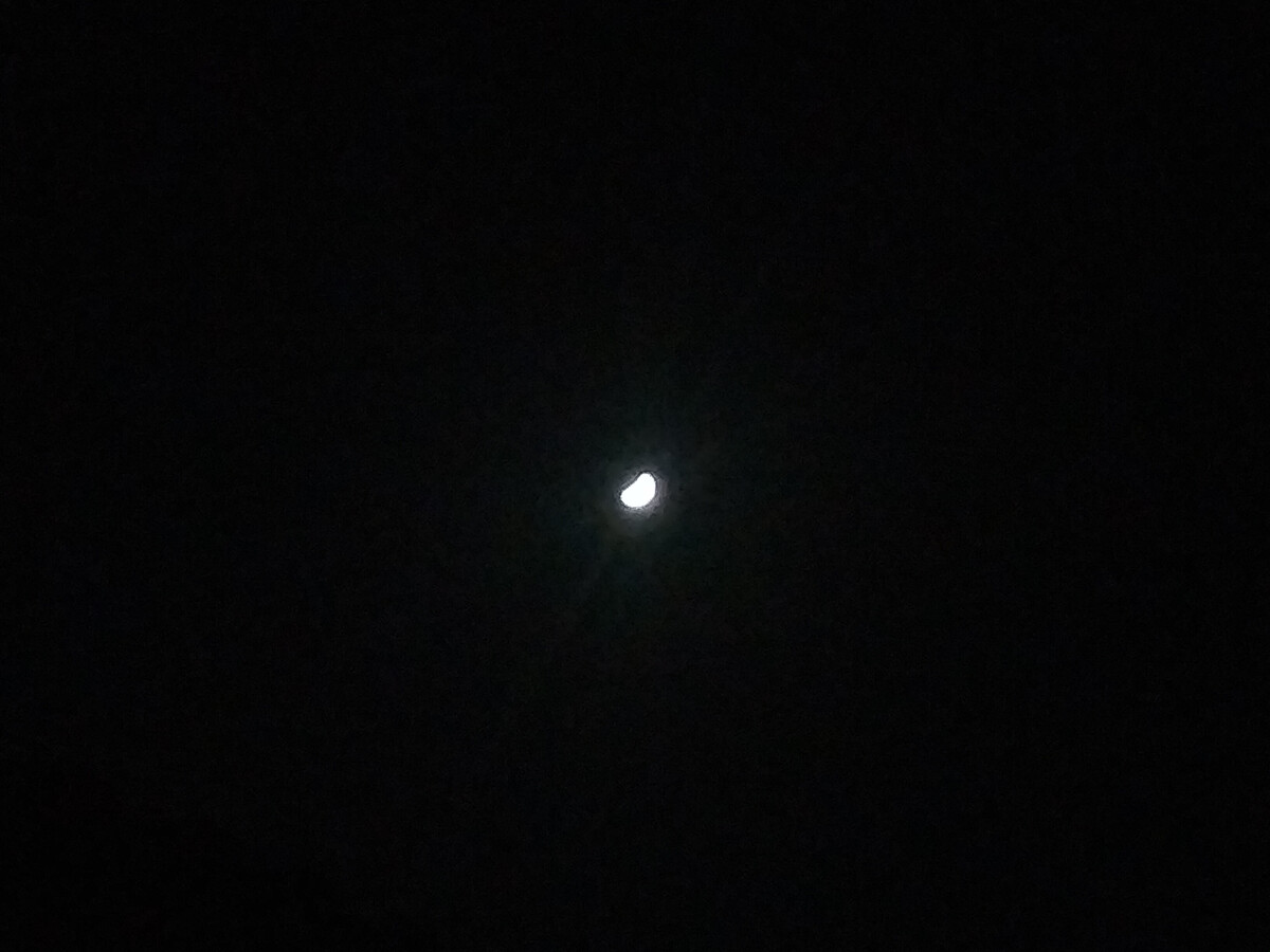 奥拉星赤宵狼王_盘龙赤宵传奇私服_赤宵