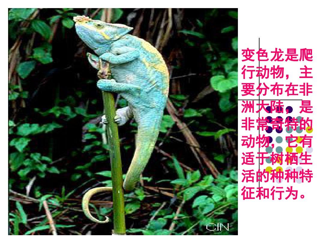 曰本动漫美女叼嘿_叼嘿大全_叼嘿图片动态大全