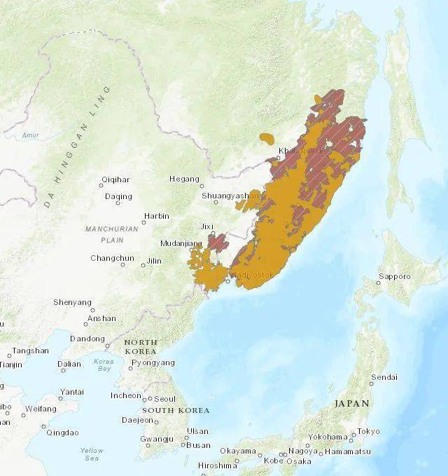 亲密接触真实老虎：老虎地图