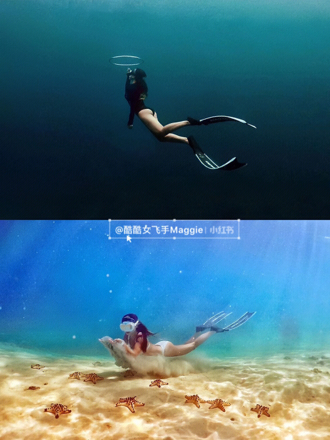 探寻水下奇妙世界，尽在泡鱼网