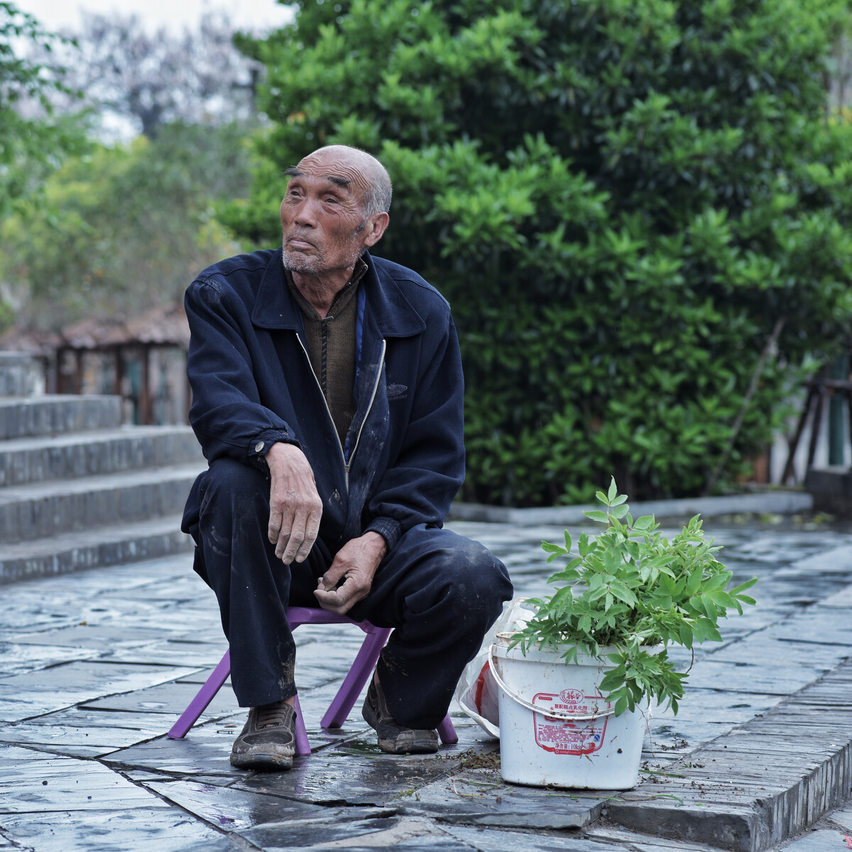 月亮小说_融化月亮小说_月亮小说写完这些就忘了