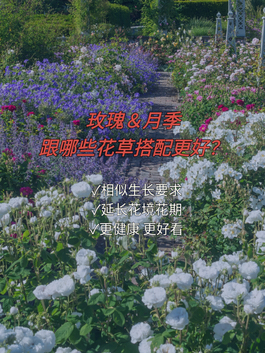 花伴侣app官方下载_抓抓影音伴侣官方下载_k歌伴侣官方下载