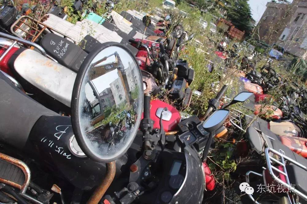 混乱治疗的关键是_混乱之治_混乱治疗药草