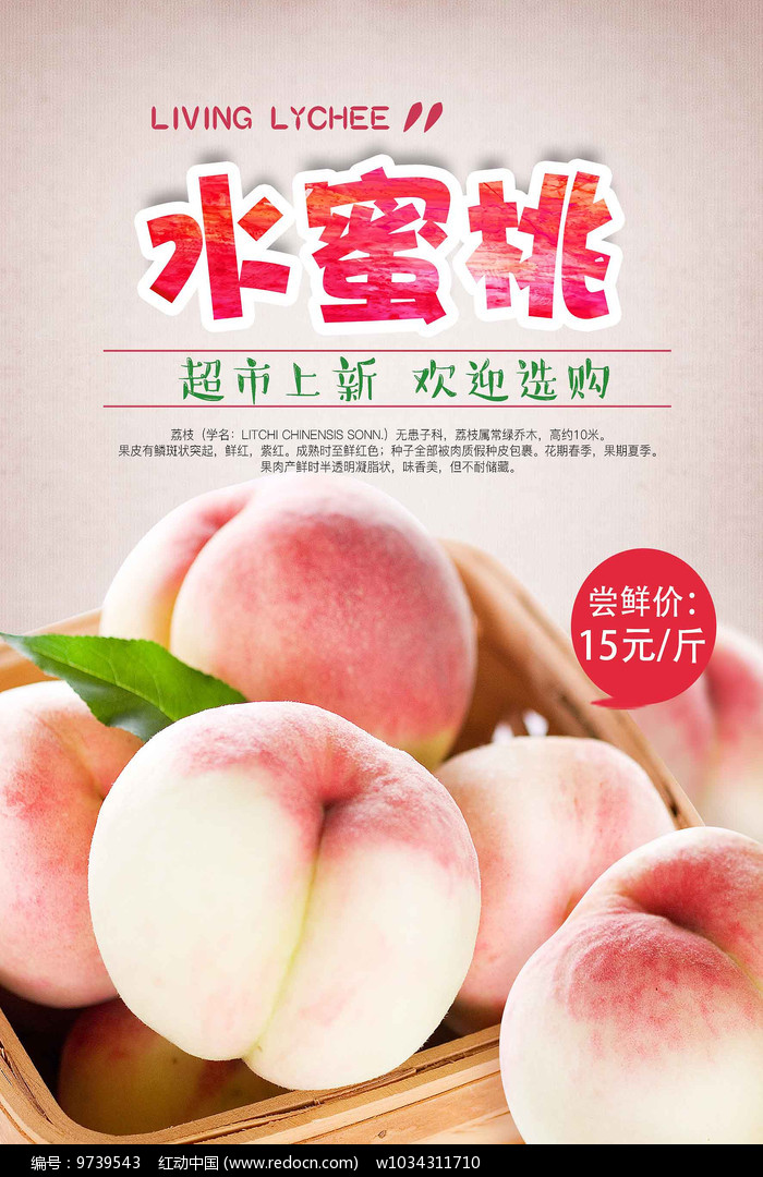 水蜜桃下载_水蜜桃成熟时下载_水蜜桃电影