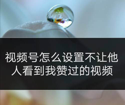 微信视频号点赞别人能看到吗_视频赞能微信点看到号码吗_微信点赞视频号别人能看到