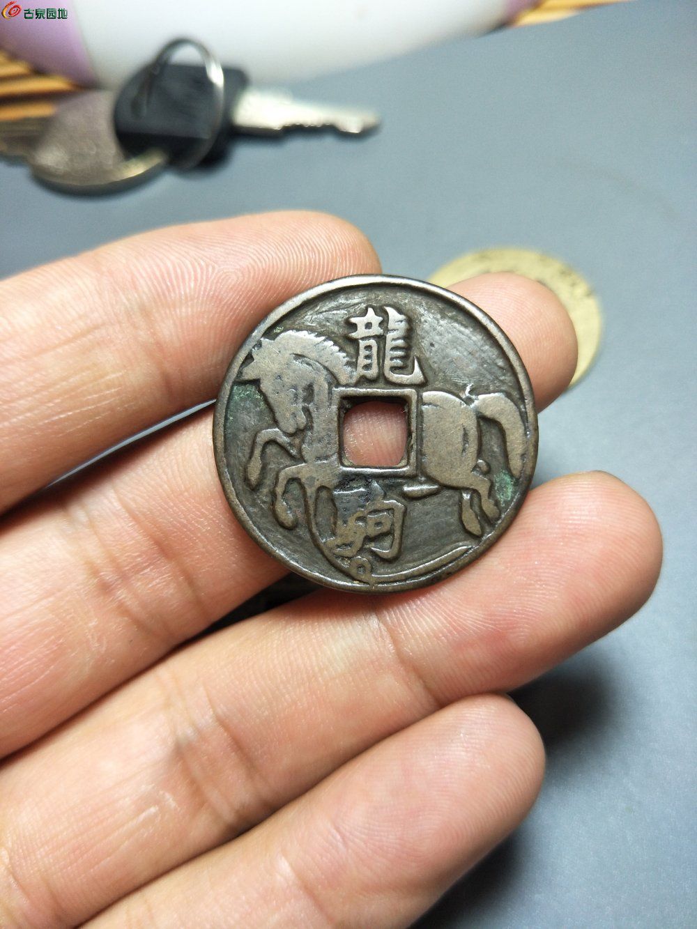 封神白龙驹_闪电白龙驹_白龙驹