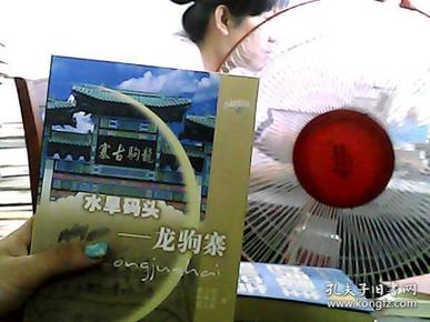 白龙驹_封神白龙驹_闪电白龙驹