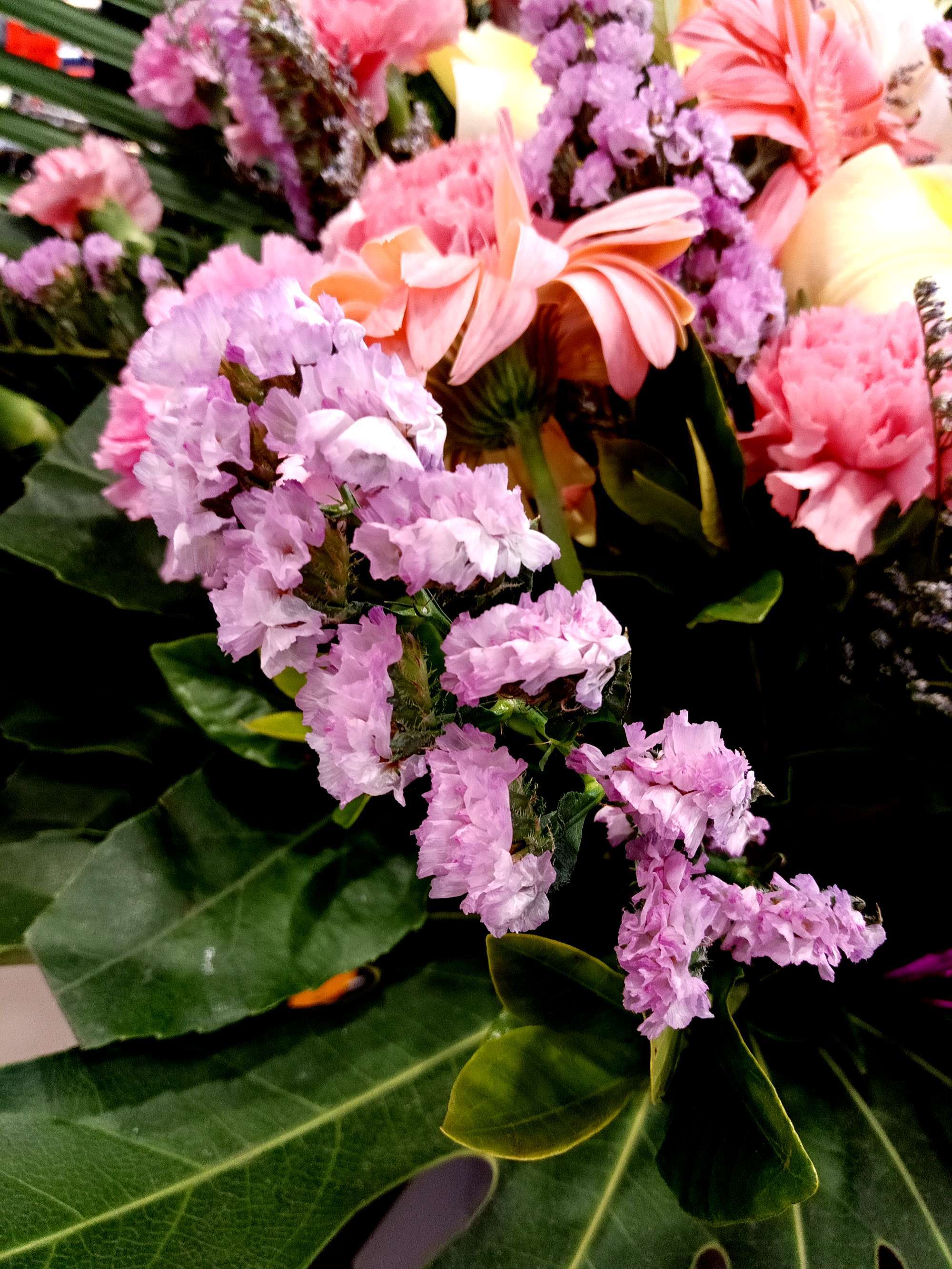 万花坊_七秀坊坊主_花间万花和离经万花