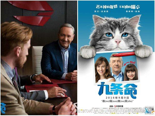 老猫软件怎么下_下载老猫app_猫咪vip老版本下载