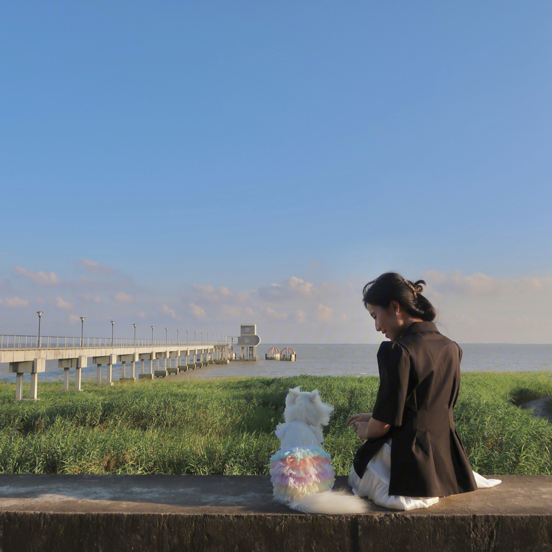 永恒岛宠物_苹果手机怎么设置灵动岛宠物_宠物岛