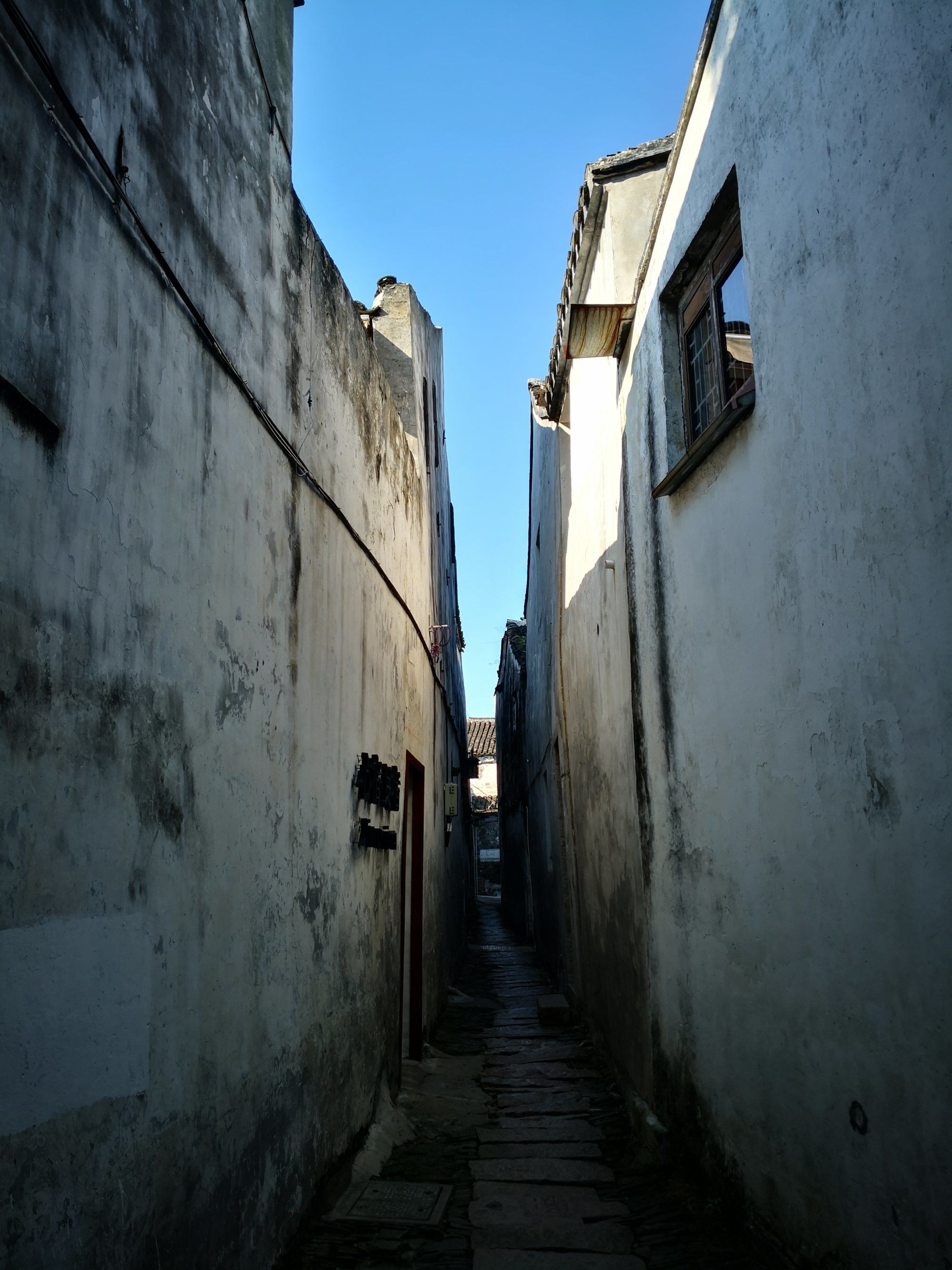 快跑小白_小跑快跑_小倩快跑