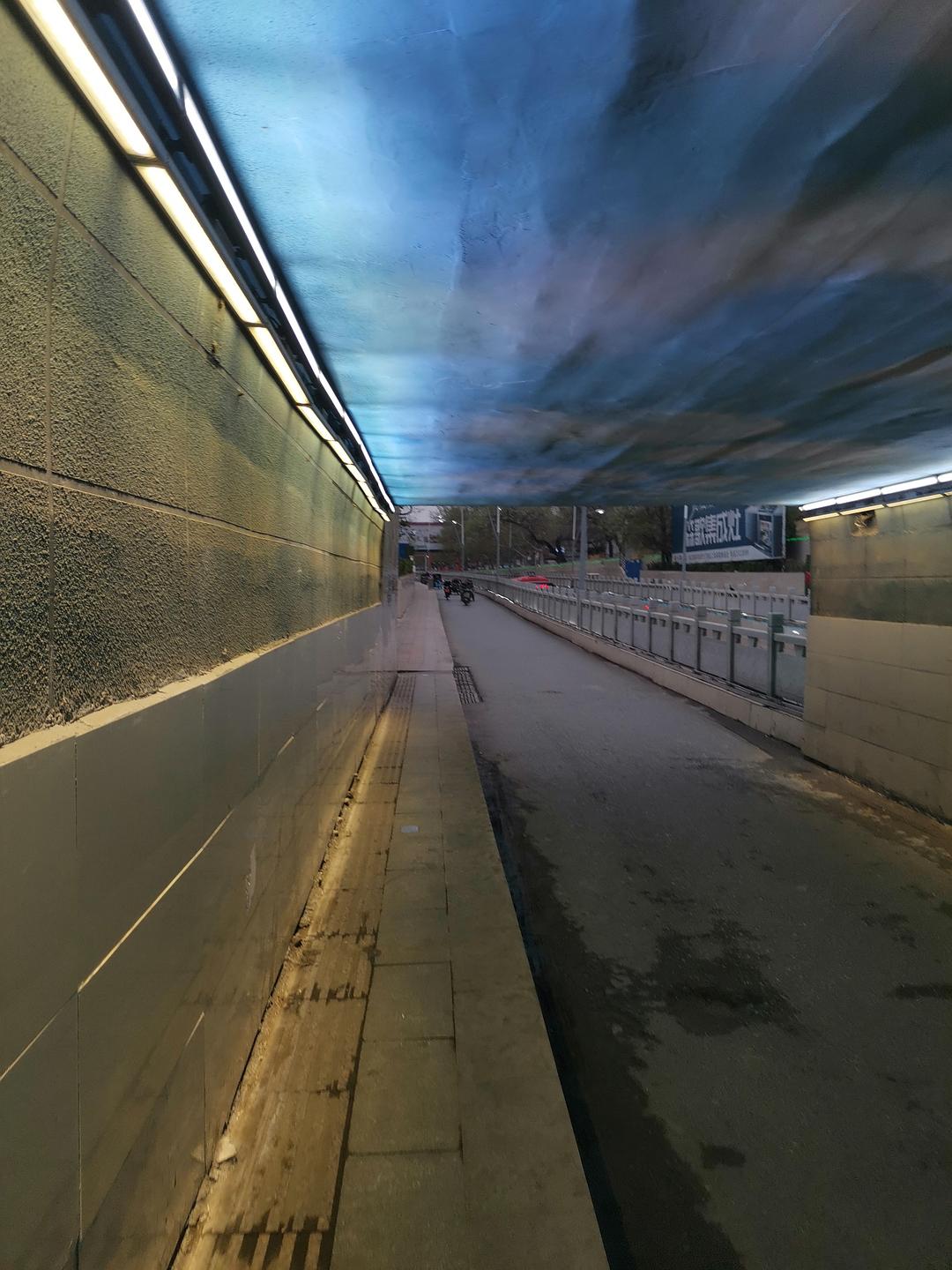 快跑小白_小倩快跑_小跑快跑