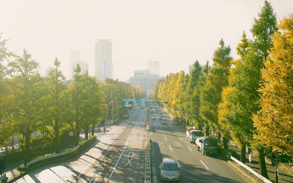 快跑小白_小倩快跑_小跑快跑