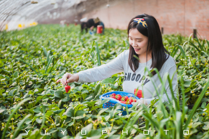 女孩草莓生日蛋糕图片可爱_女孩草莓蛋糕图片_草莓女孩