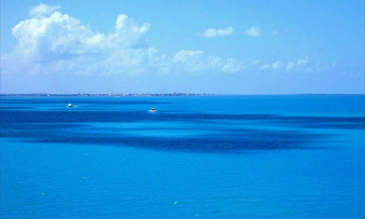 海老名和小埋哥哥_海老名敬_海老名