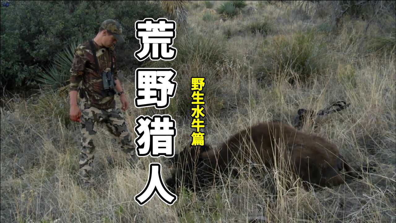 复仇原版_复仇上译_野牛复仇记中文版