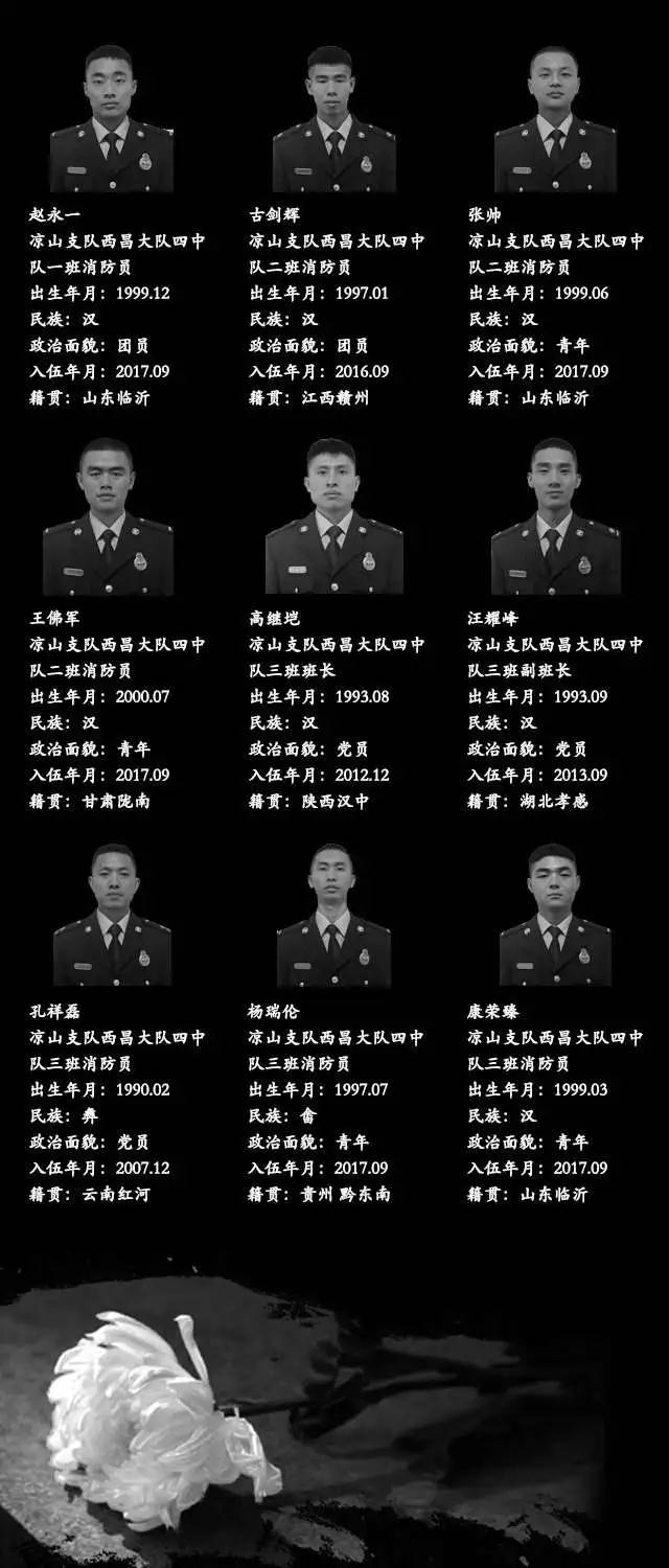 盟军英雄闪亮登场