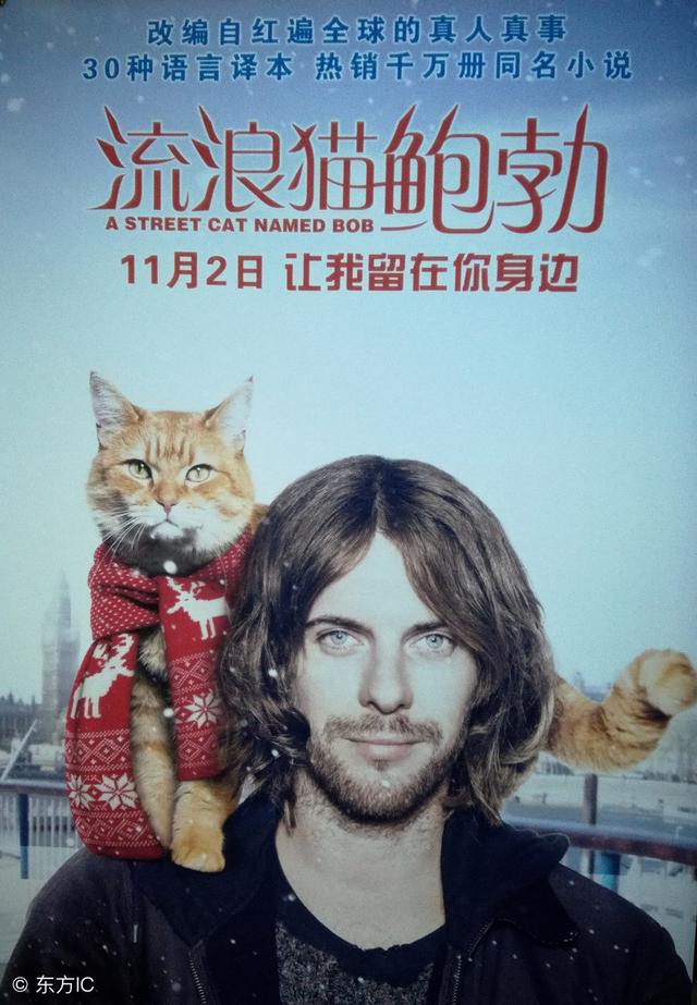 编程猫官方_快猫官方_悬赏猫官方
