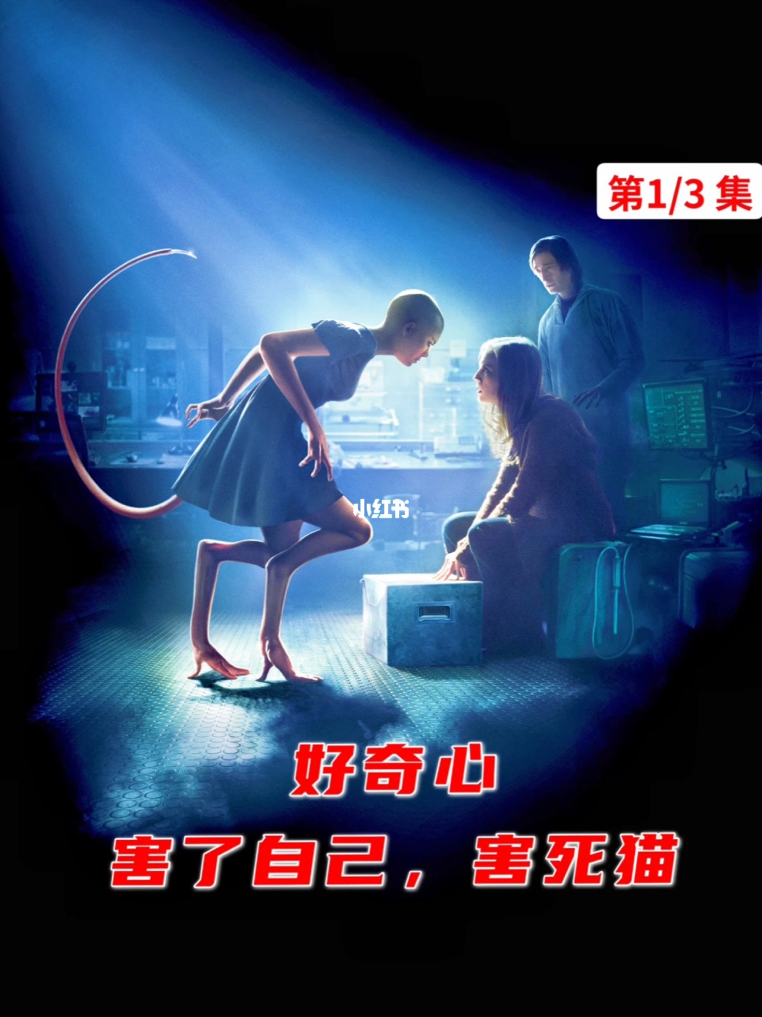 快猫官方_悬赏猫官方_编程猫官方