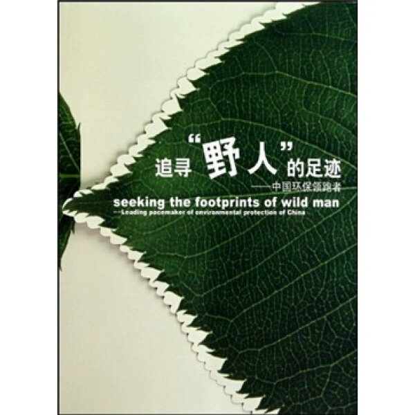 寻找失踪的学者怎么过_寻找失踪的学者_寻找失踪的学者四个柱子