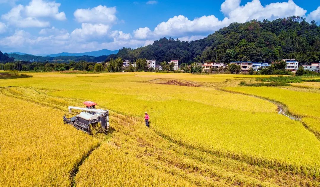 山间有点田乡试_山间有点田_山间有点田水利