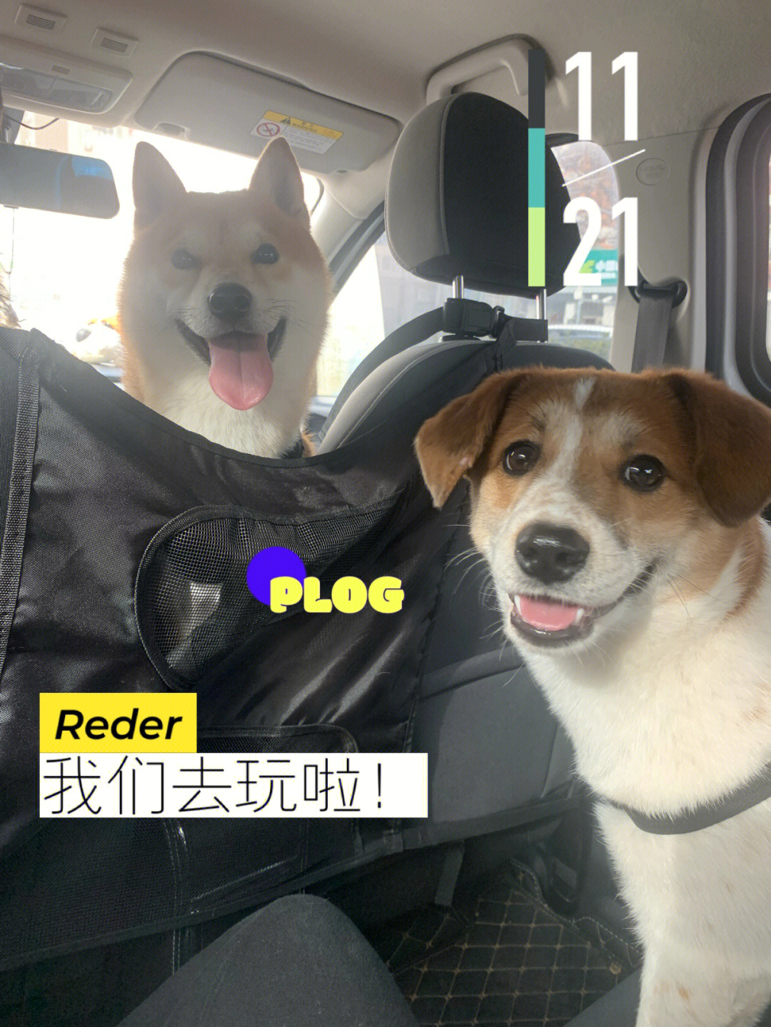 特狗app_游戏狗app_特狗app官方下载