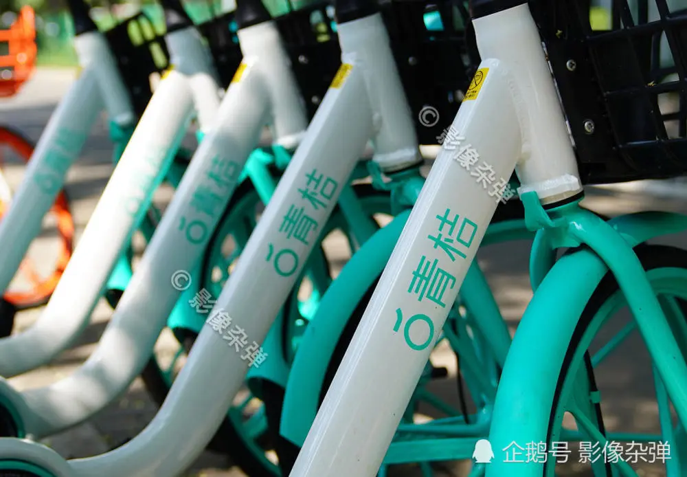 桔单车_免费下载青桔单车_青桔单车下载app