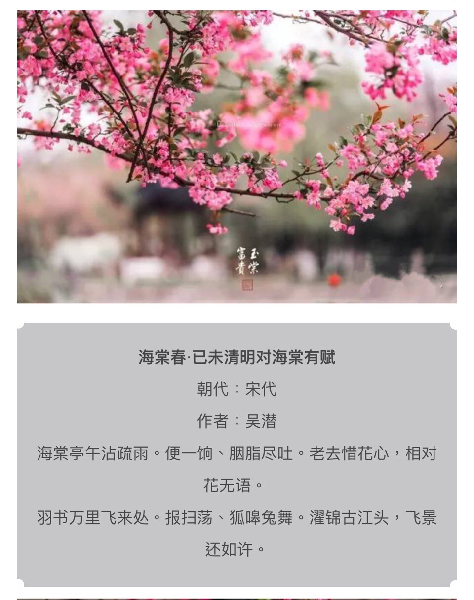 海棠官网在线打开_海棠官方网站2021_海棠官网在线